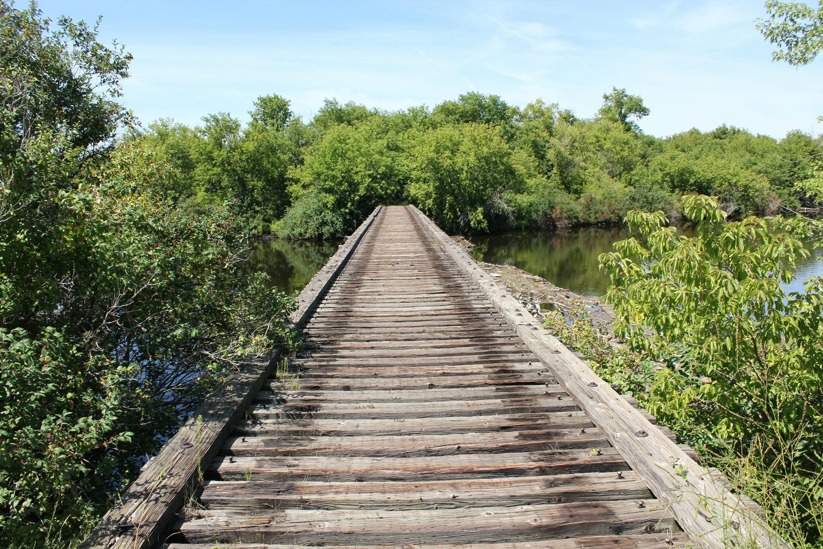 Bridge across east channel